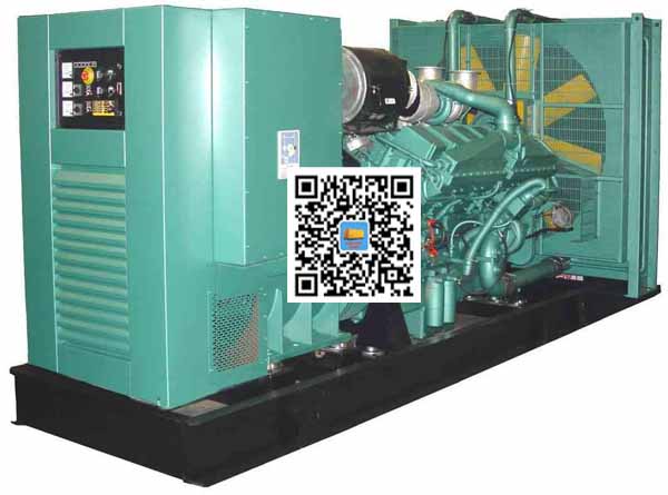 巴青笼型异步发电机的电力电子控制技术